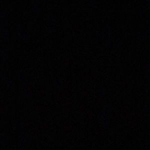 Meet your Posher, Phillip